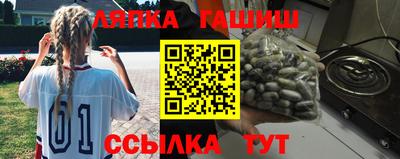 шишки Аргун