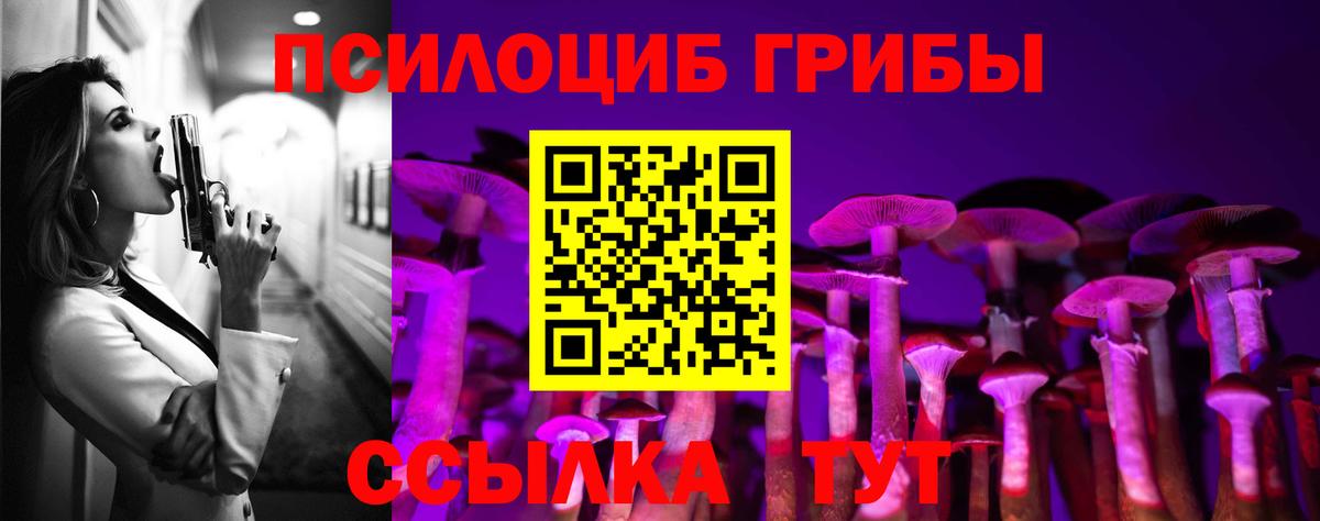 Галлюциногенные грибы Magic Shrooms  Вход с VPN  Ачхой-Мартан  Псилоцибиновые грибы ЛСД 